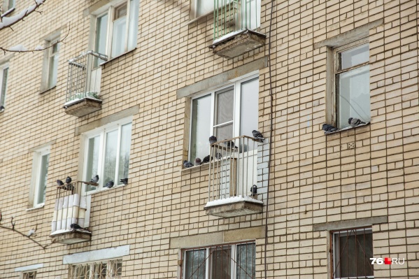 Жилье по социальному найму ярославцы должны оплачивать, как снимаемую квартиру. Только это во много раз дешевле Жилье по социальному найму ярославцы должны оплачивать, как снимаемую квартиру. Только это во много раз дешевле