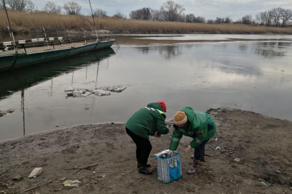 Сотрудники Росприроднадзора уже отобрали пробы воды Сотрудники Росприроднадзора уже отобрали пробы воды