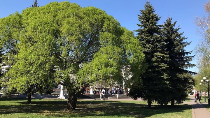 Мэр Новокузнецка объяснил, почему и зачем в городе застраивают парк Гагарина