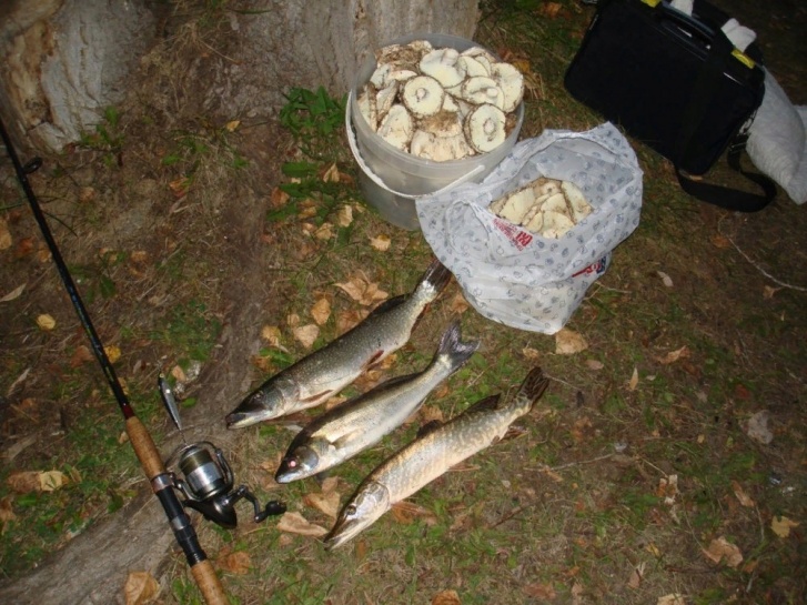 Некоторые новосибирцы отправляются в лес после рыбалки