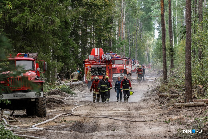 Нижегородские пожарные в лесах под Саровом Нижегородские пожарные в лесах под Саровом