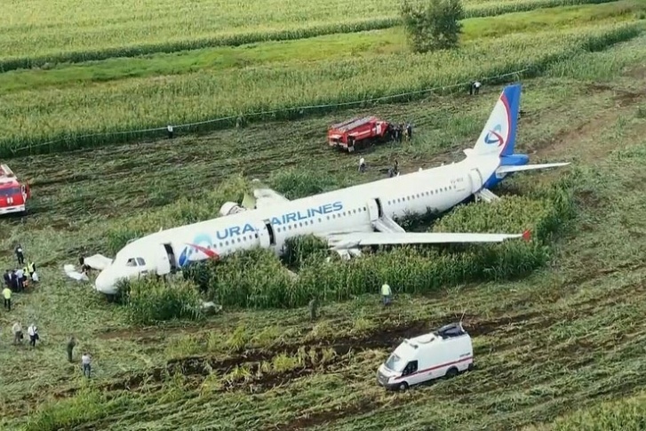 В 2019 году самолет «Уральских авиалиний» сел в кукурузное поле