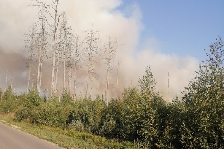 Лесной пожар на юге Нижегородской области Лесной пожар на юге Нижегородской области