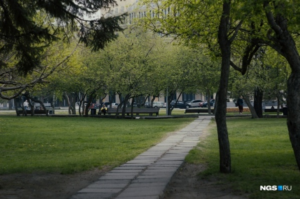 На этих выходных будет возможно прогуляться На этих выходных будет возможно прогуляться