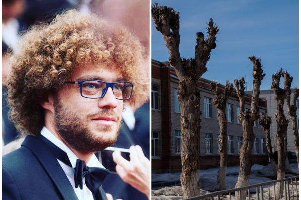 Пример обрезки деревьев в Тюмени Пример обрезки деревьев в Тюмени