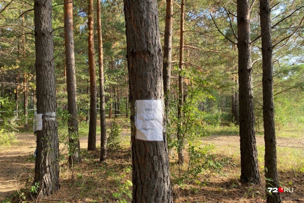 Жители поселка самостоятельно развесили таблички в надежде, что администрация обратит внимание на их проблему Жители поселка самостоятельно развесили таблички в надежде, что администрация обратит внимание на их проблему