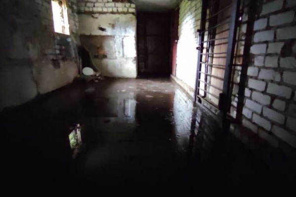 Вонючая вода постепенно уходит из подвалов домов Вонючая вода постепенно уходит из подвалов домов