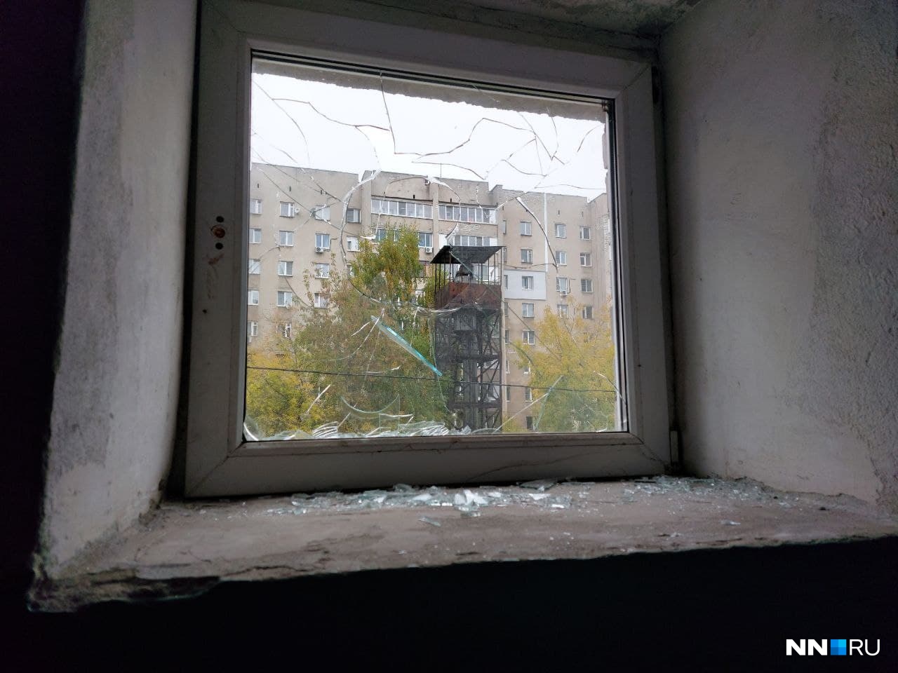 «Им стало душно». В Советском районе бабушка разбила окно, обвинив в этом соседей и попав на видео
