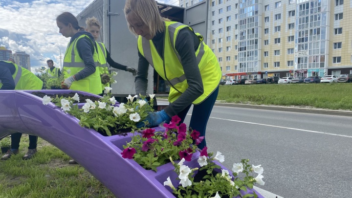 Здесь будет город-сад: новый мэр Сургута выделил на цветочные вазоны и рассаду рекордные суммы