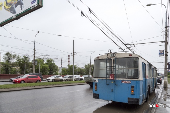 На разделительной полосе обещают высадить хвойные деревья и даже поливать их На разделительной полосе обещают высадить хвойные деревья и даже поливать их