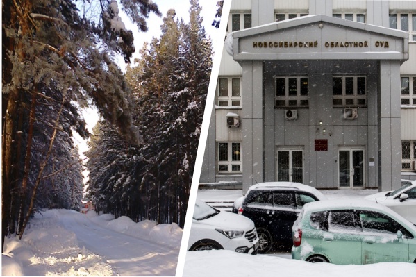 Девушку убили в рабочем поселке Сузун, а затем тело спрятали в ближайшем лесу Девушку убили в рабочем поселке Сузун, а затем тело спрятали в ближайшем лесу