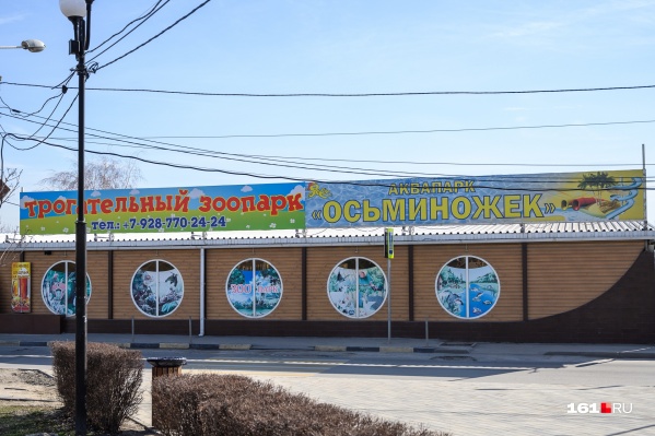 «Осьминожек» — это первый ростовский аквапарк «Осьминожек» — это первый ростовский аквапарк