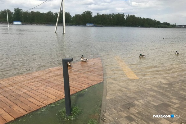 Набережные в черте города топит уже несколько дней Набережные в черте города топит уже несколько дней