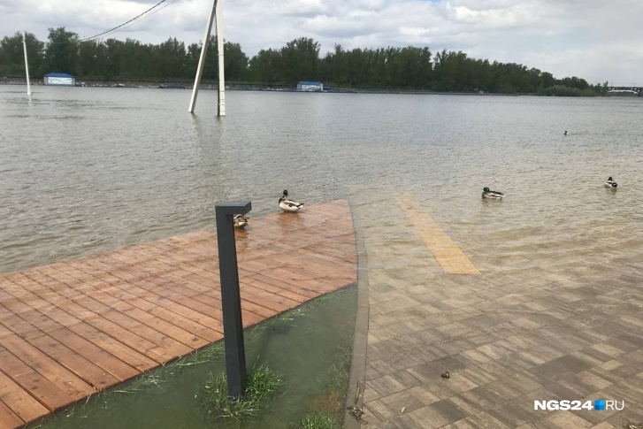 Набережные в черте города топит уже несколько дней Набережные в черте города топит уже несколько дней