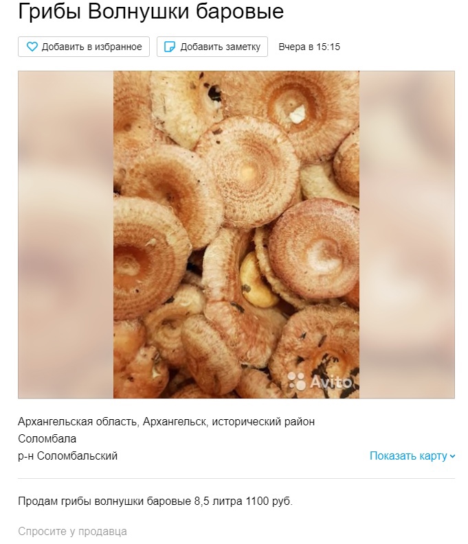 Волнушки на продажу — из Соломбалы