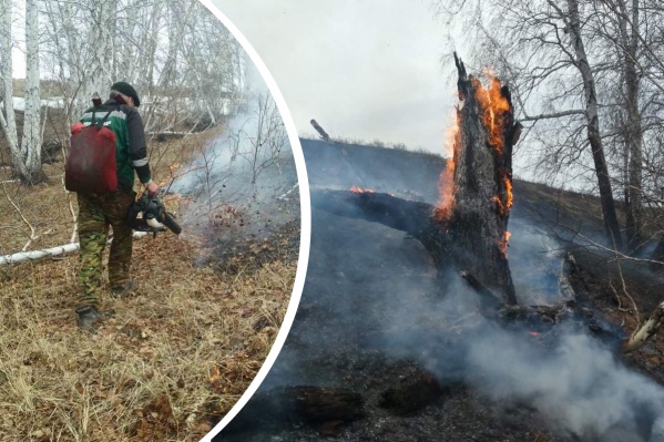 Леса в этом году начали гореть рано Леса в этом году начали гореть рано