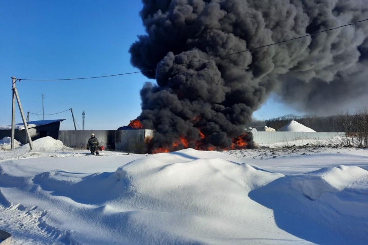 Что случилось в богородске нижегородской области. Смотреть фото Что случилось в богородске нижегородской области. Смотреть картинку Что случилось в богородске нижегородской области. Картинка про Что случилось в богородске нижегородской области. Фото Что случилось в богородске нижегородской области