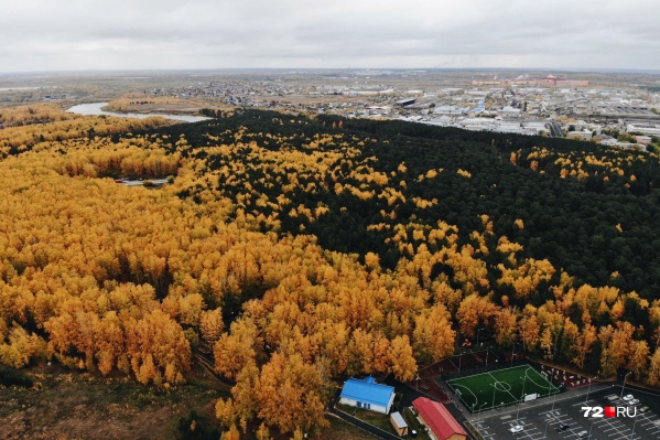 Осенняя Тюмень Фото