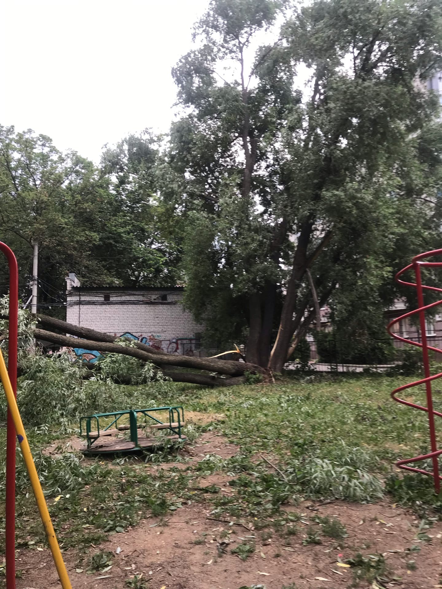 Дерево упало на детскую площадку 