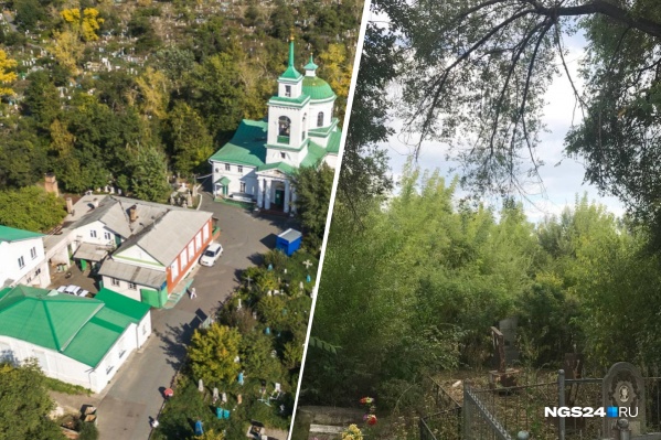 Большая территория старого кладбища — непролазные дебри Большая территория старого кладбища — непролазные дебри