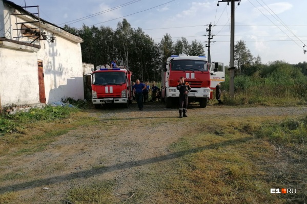 Пожар возле Хомутовки начался неожиданно Пожар возле Хомутовки начался неожиданно