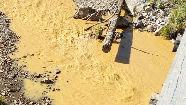 WWF предложил запретить добычу россыпного золота на реках в Красноярском крае
