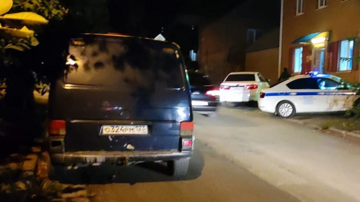В Ростове 11-летний мальчик попал под машину, испугавшись собаки