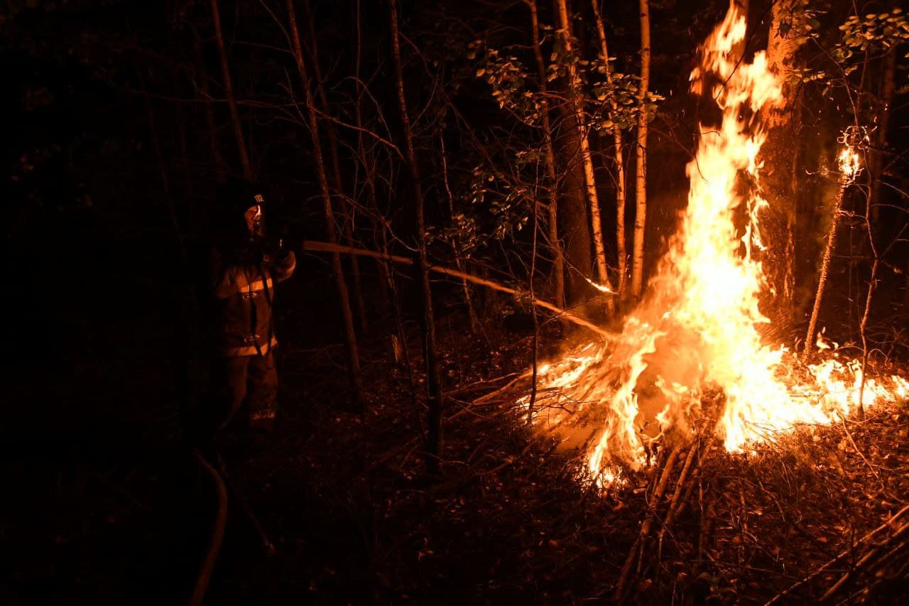 «Хотели избавиться от старых шин, а сожгли лес?» Волонтер нашел возможное место, откуда заполыхала Волчиха