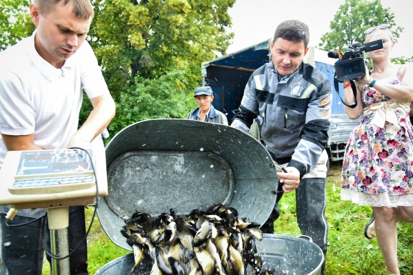 какая рыба водится в шершневском водохранилище челябинска. Смотреть фото какая рыба водится в шершневском водохранилище челябинска. Смотреть картинку какая рыба водится в шершневском водохранилище челябинска. Картинка про какая рыба водится в шершневском водохранилище челябинска. Фото какая рыба водится в шершневском водохранилище челябинска