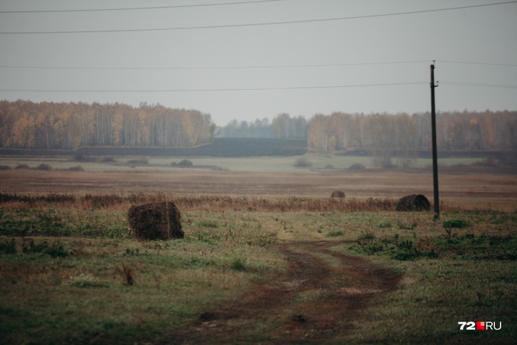 Огромная территория сейчас пустует. Это значит, что застройщику, который заполучит эту землю, не придется заниматься сносом зданий и переселением жильцов Огромная территория сейчас пустует. Это значит, что застройщику, который заполучит эту землю, не придется заниматься сносом зданий и переселением жильцов