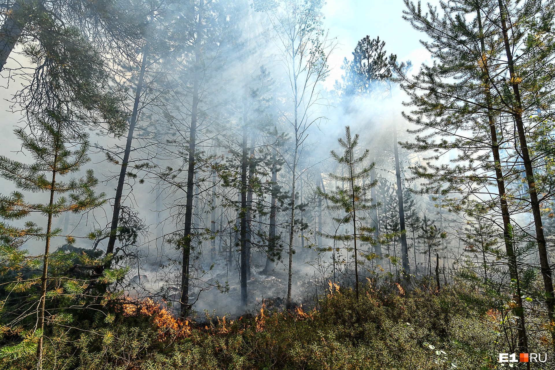 Тушить лесные пожары на Урале будут авиадесантники, которые боролись с огнем в Якутии
