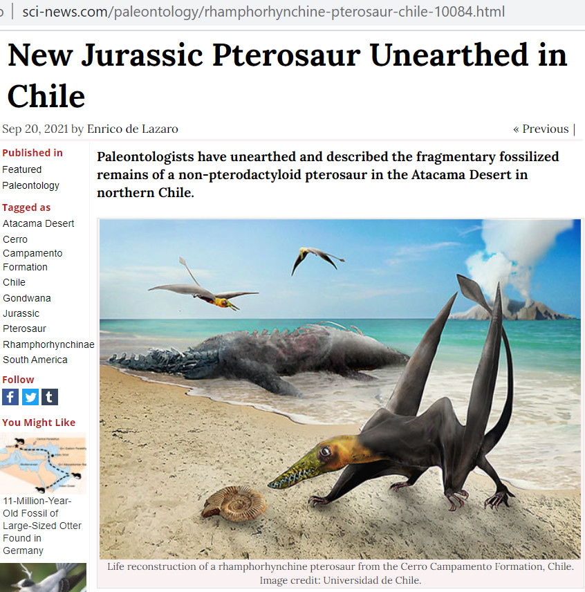 Скриншот из www.sci-news.com/paleontology