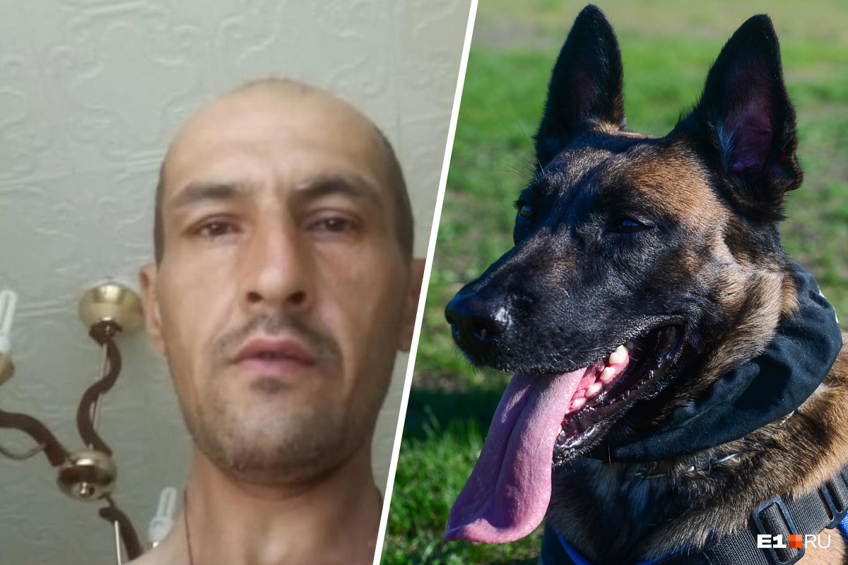 Обвиняемый в убийстве пермской туристки натравил собаку на полицейских, когда его задерживали