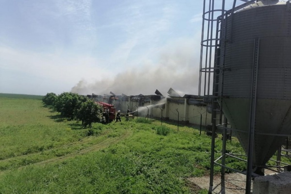 Пожар тушили 17 человек Пожар тушили 17 человек