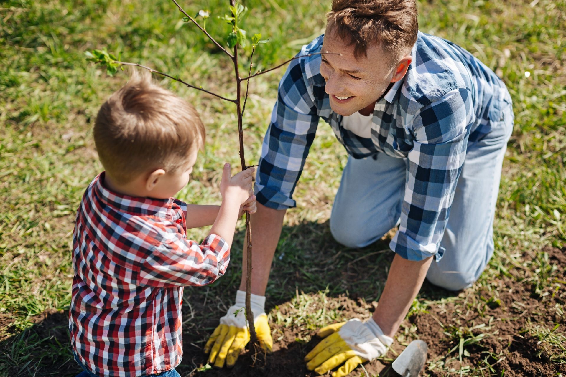 Дети сажают самолет. Мальчик сажает дерево. Отец и сын сажают дерево. Дети сажают деревья. Папа в саду.