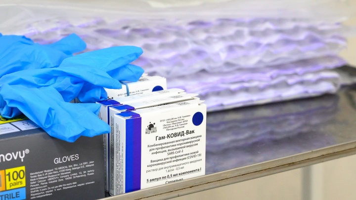 МВД: в ростовской поликлинике торговали липовыми сертификатами о вакцинации