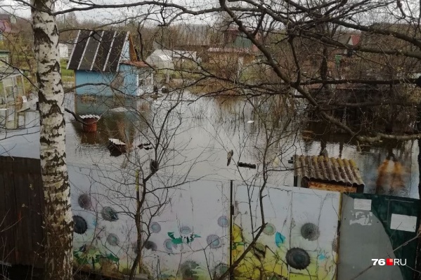 Так сейчас выглядят дачные участки в Ярославле в поселке Долматово Так сейчас выглядят дачные участки в Ярославле в поселке Долматово