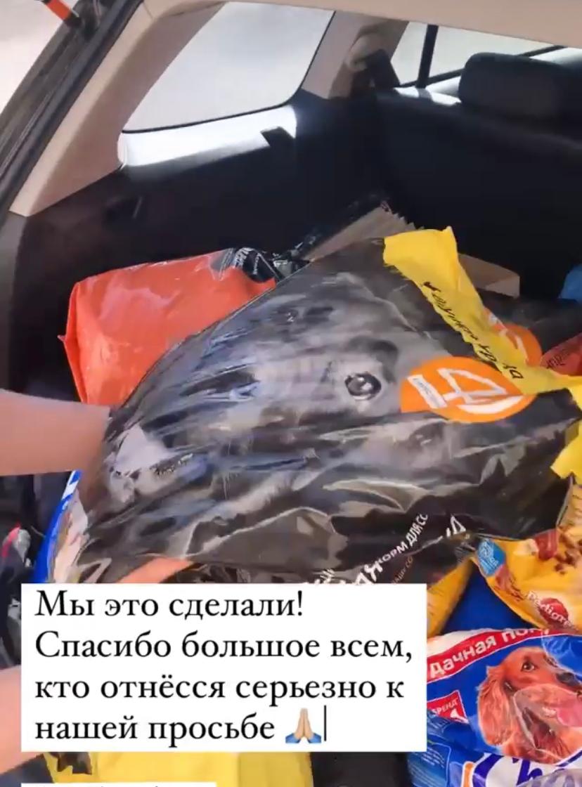 Гости затеей молодоженов не <nobr class="_">возмутились —</nobr> вместо цветов собрали им на свадьбу около <nobr class="_">100 кило</nobr> собачьего корма Гости затеей молодоженов не <nobr class="_">возмутились —</nobr> вместо цветов собрали им на свадьбу около <nobr class="_">100 кило</nobr> собачьего корма