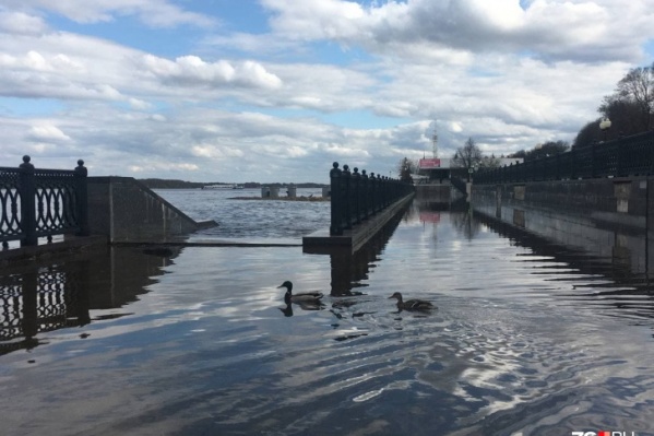 За 2 мая уровень воды в реках Ярославской области еще поднялся За 2 мая уровень воды в реках Ярославской области еще поднялся