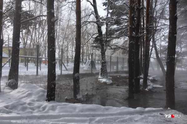 Сточные воды разлились на территории лесопарка Сточные воды разлились на территории лесопарка