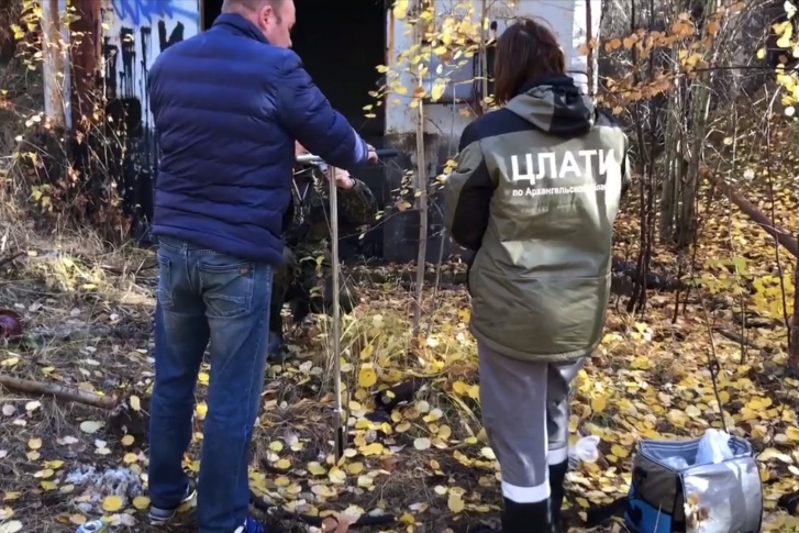 Так как Архангельск относится к Арктической зоне, за причиненный ущерб придется заплатить на 100% больше Так как Архангельск относится к Арктической зоне, за причиненный ущерб придется заплатить на 100% больше