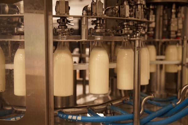 Как все устроено на молокозаводе и из чего делают сметану, творожки и йогурты?