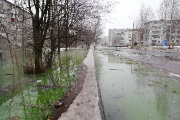 Прошлой осенью в Соломбале зеленая вода стала сигналом об аварии на теплотрассе Прошлой осенью в Соломбале зеленая вода стала сигналом об аварии на теплотрассе