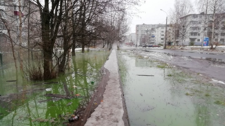 Ищут утечки: в Архангельске в трубы запустят зеленый краситель