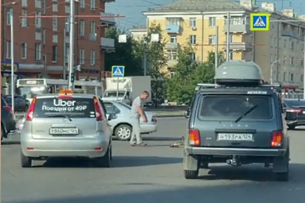 Каждое лето красноярцы провожают утят с дорог, и другие водители относятся к этому с пониманием Каждое лето красноярцы провожают утят с дорог, и другие водители относятся к этому с пониманием