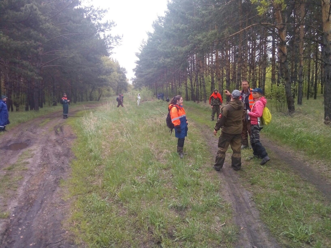 Елизавета воспитывает троих детей Елизавета воспитывает троих детей 