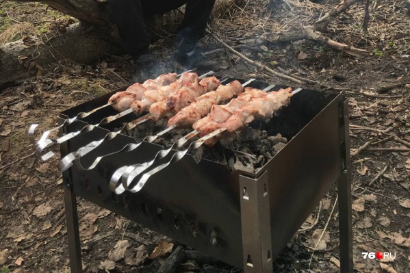 Разводить огонь можно только в мангалах или жаровнях Разводить огонь можно только в мангалах или жаровнях