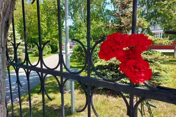 На заборе вуза возле места, где произошло преступление, оставили гвоздики На заборе вуза возле места, где произошло преступление, оставили гвоздики
