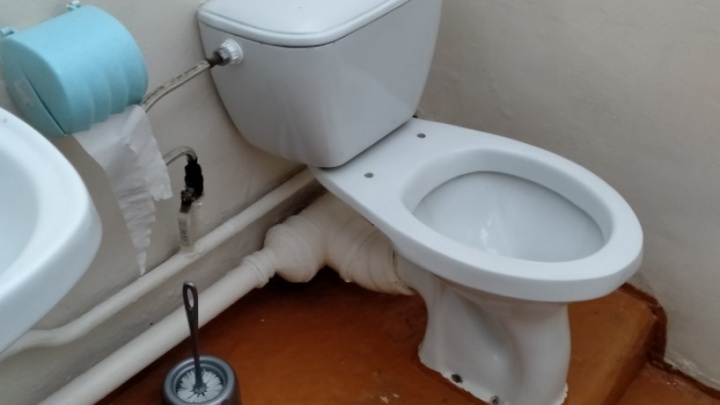 Domestos объявил конкурс на худший школьный туалет. Смотрим заявки с Кубани