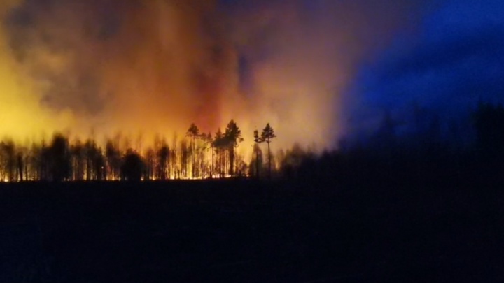 «Пожарные не могут подъехать к очагу»: под Екатеринбургом полыхает лес. Видео
